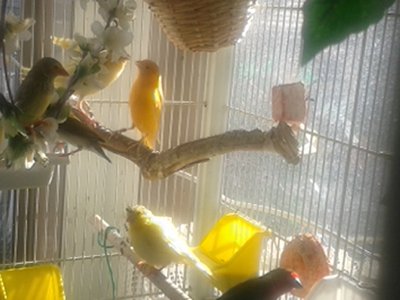 20150325_095942.jpg
