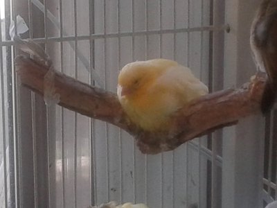 20150429_150832.jpg