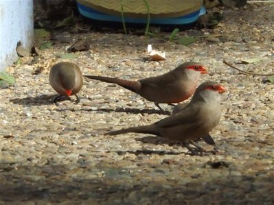 DSCF4869 (Small).JPG