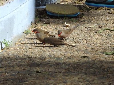 DSCF4872 (Small).JPG