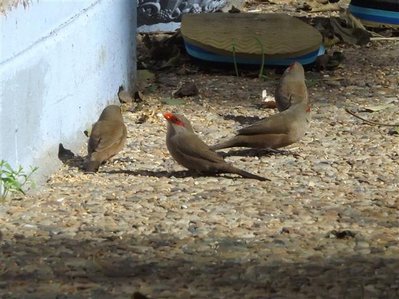 DSCF4876 (Small).JPG