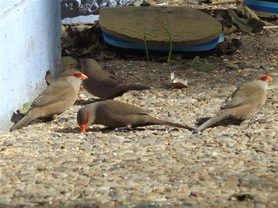 DSCF4877 (Small).JPG