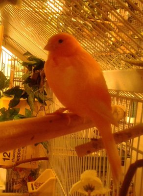 20150221_182850-1.jpg