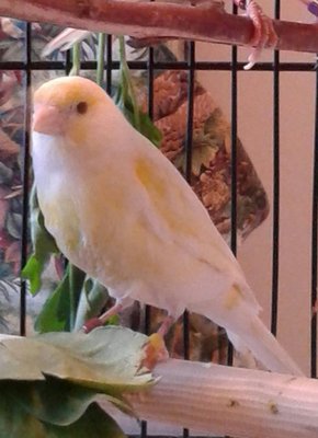 20150124_123119-1-2.jpg