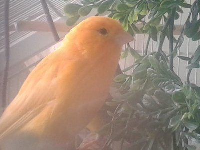 20150123_101936.jpg