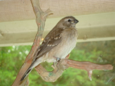 DSC05916.JPG