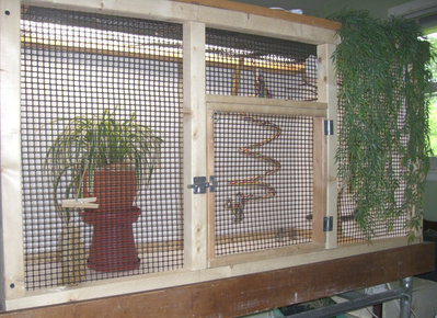 2014 prototype for aviary.jpg