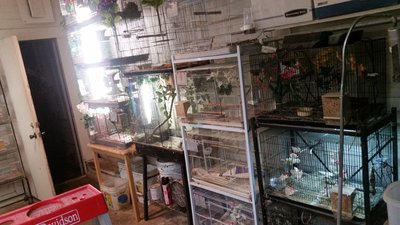 20150522_040117.jpg