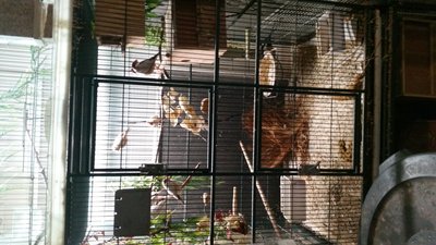 20150522_035717.jpg
