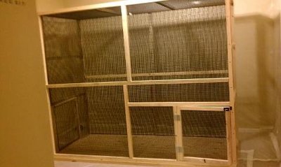 our aviary 6.jpg