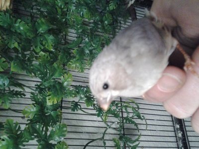20150618_131539.jpg