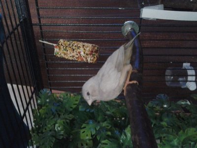 20150618_131623.jpg