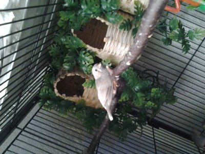 20150618_131357.jpg