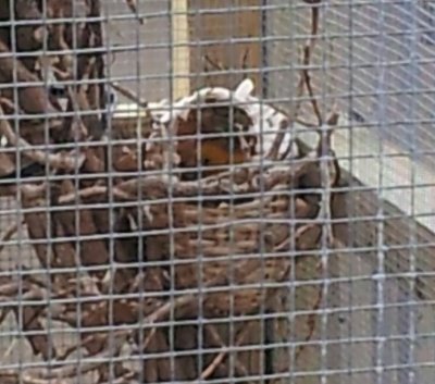 20150617_180641-1.jpg