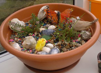 Tina, my zebra finch in my plant bowl :)