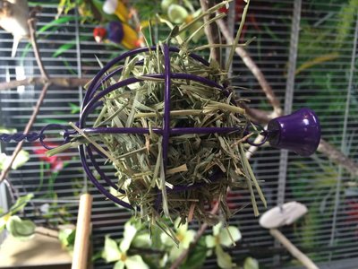 &quot;Toy&quot; for finches