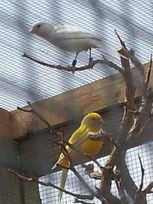 20150604_143902-1.jpg