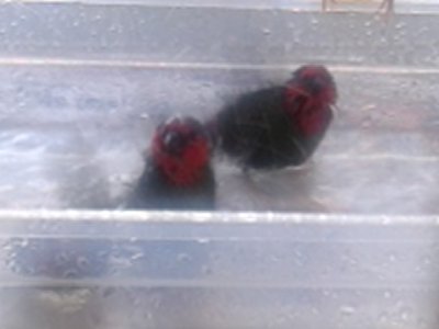 20150411_165257.jpg