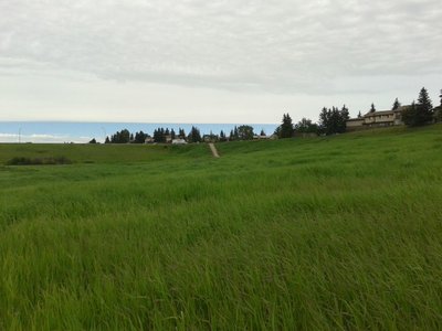 20140629_104129.jpg