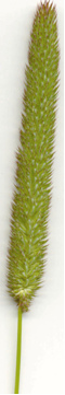 06-095f10a.png