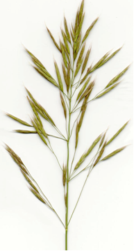 06-095f11a.png