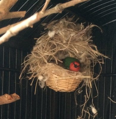 Look I fit!