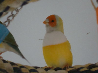 DSC06005.JPG