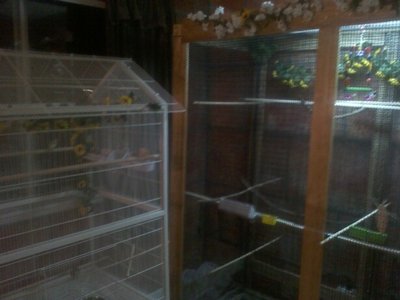 cages.jpg
