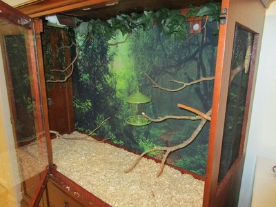 IMG_2548.JPG