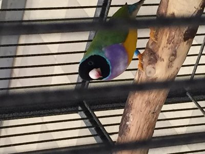 IMG_3357.JPG