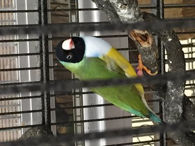 IMG_3354.JPG