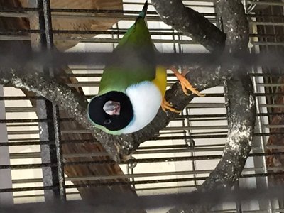 IMG_3612.jpeg
