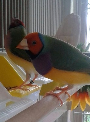 20140822_120546-1.jpg