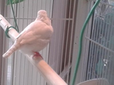 20150816_164528.jpg