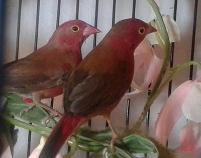 20140921_121501-1.jpg