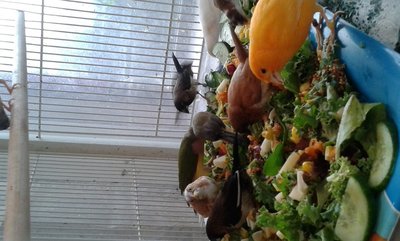20141031_165855.jpg