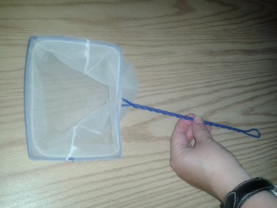 20150820_165006.jpg