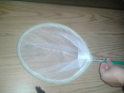 20150820_164931.jpg