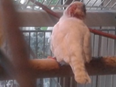 20150726_180952.jpg