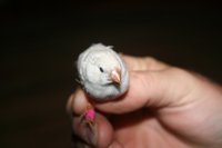 200_Picture%20293.jpg