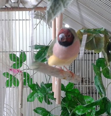 20150123_133719-1.jpg