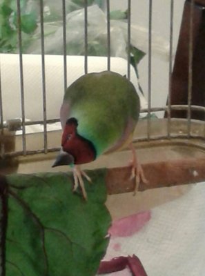 20150116_171644-1.jpg