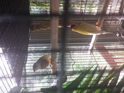 20150829_152853.jpg