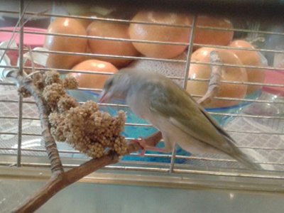 20150829_170322.jpg