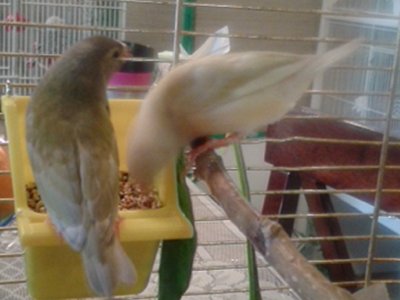 20150829_172652.jpg