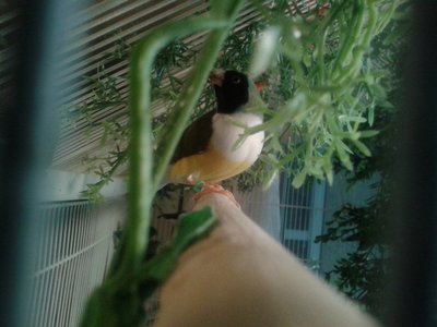 20150821_165342.jpg