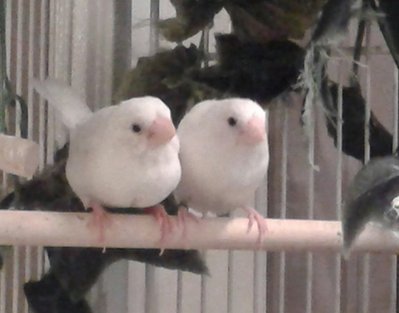20141231_173627-1.jpg