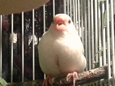 This is their baby.