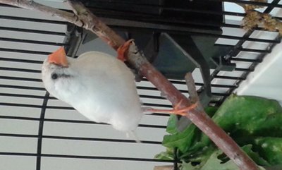 20140908_122236.jpg