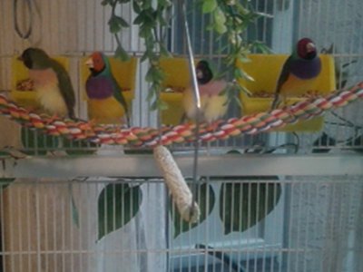 20150821_164826.jpg